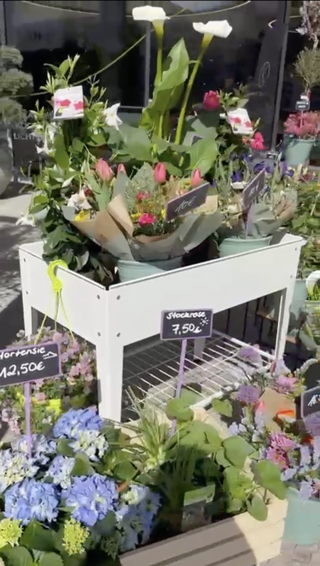 Screenshot 2025 05 07 at 12.25.51