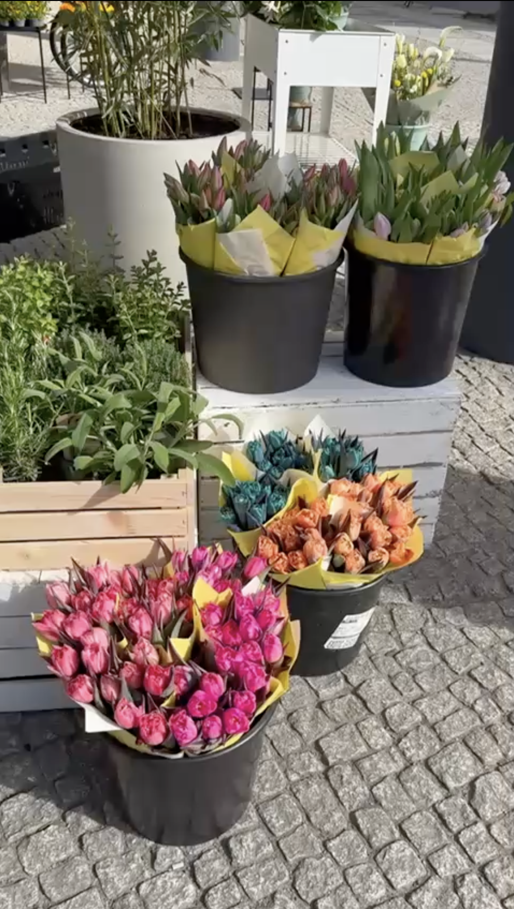 Screenshot 2025 05 07 at 12.28.42