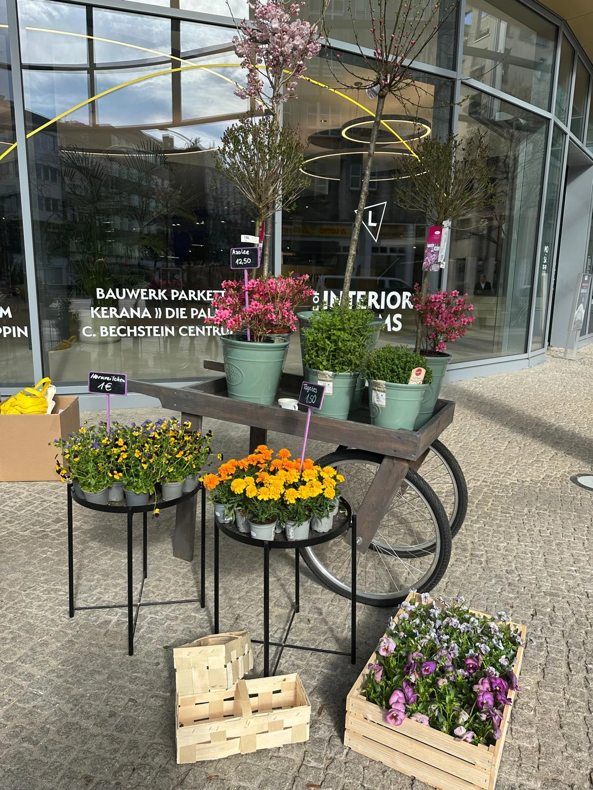 WhatsApp Image 2025 04 07 at 16.06.49 1