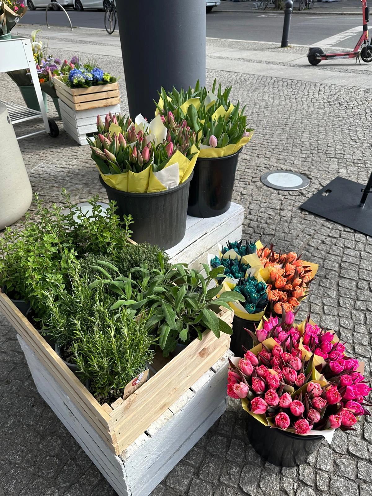 WhatsApp Image 2025 04 07 at 16.06.49 2